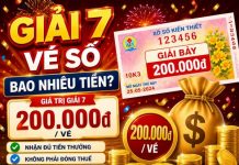 Giải đáp chi tiết giải 7 vé số bao nhiêu tiền cách nhận thưởng cần nhớ