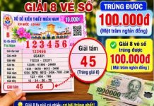 Bật mí giải 8 vé số trúng được bao nhiêu tiền mới nhất