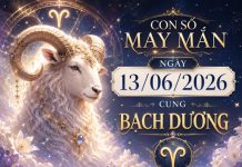 Hé lộ con số may mắn ngày 13/06/2026 cung Bạch Dương Hé lộ con số may mắn ngày 13/06/2026 cung Bạch Dương