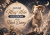 Bật mí con số may mắn ngày 15/06/2026 cung Bạch Dương