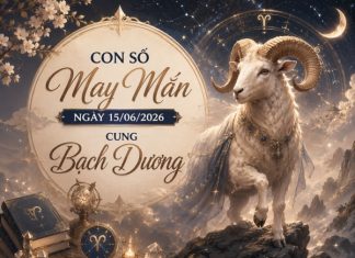 Bật mí con số may mắn ngày 15/06/2026 cung Bạch Dương Bật mí con số may mắn ngày 15/06/2026 cung Bạch Dương