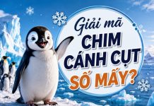 Chim cánh cụt là số mấy trong văn hóa phương Tây?
