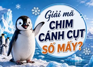 Chim cánh cụt là số mấy trong văn hóa phương Tây?