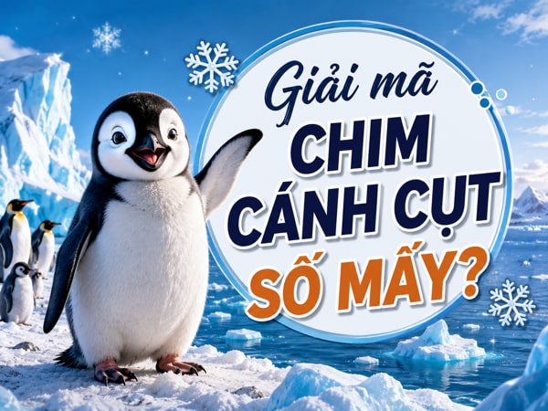 Khám phá ý nghĩa chim cánh cụt số mấy vượng phát tài lộc?