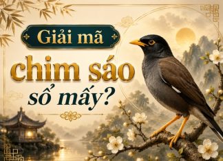 Bật mí ý nghĩa chim sáo số mấy may mắn cho tài lộc nở rộ?