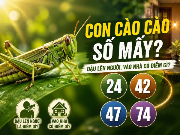 Con Cào Cào số mấy theo quan niệm dân gian