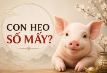 Lý giải ý nghĩa con heo số mấy giúp tăng tiến tài lộc?