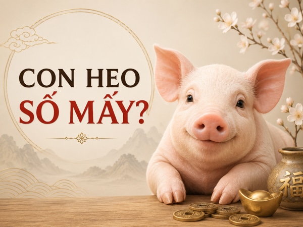 Lý giải ý nghĩa con heo số mấy giúp tăng tiến tài lộc?