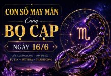Con số may mắn ngày 16/6 cung Bọ Cạp rước tài lộc vào nhà