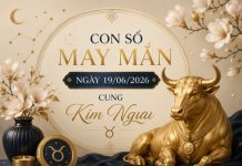 Khám phá con số may mắn ngày 19/06/2026 cung Kim Ngưu Khám phá những con số may mắn ngày 19/06/2026 cung Kim Ngưu