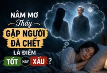 Luận giải nằm mơ thấy gặp người đã chết tốt hay xấu?
