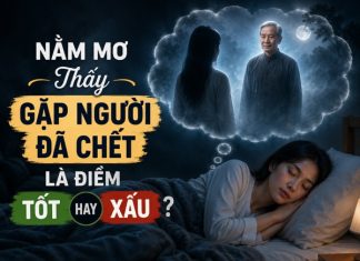 Luận giải nằm mơ thấy gặp người đã chết tốt hay xấu?