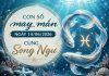 Đại cát với con số may mắn ngày 14/06/2026 cung Song Ngư Đại cát với con số may mắn ngày 14/06/2026 cung Song Ngư