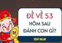 Đề về 53 hôm sau ra số gì? Cập nhật các cặp số đáng chú ý đề về 53 hôm sau ra con gì