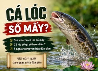 Cá lóc số mấy? Giải mã ý nghĩa và con số trong văn hóa