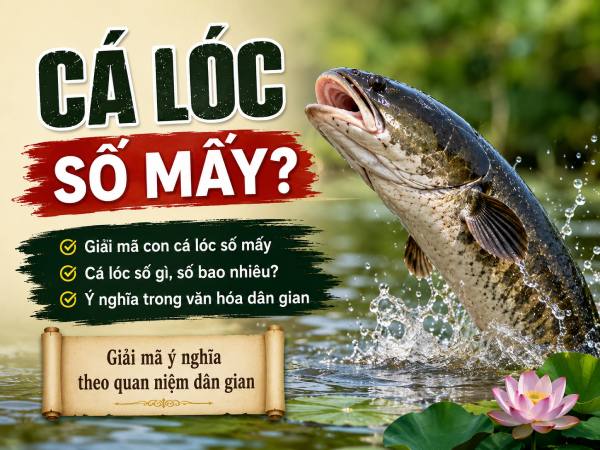Cá lóc số mấy? Giải mã ý nghĩa và con số trong văn hóa