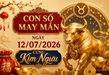 Khám phá con số may mắn ngày 12/07/2026 cung Kim Ngưu